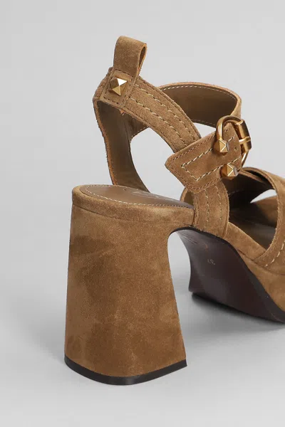 Ash Melany Sandals In Brown Suede In Brown