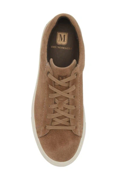 Shop Bruno Magli Diego Leather Sneaker In Sand Suede