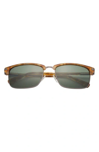 Shop Ted Baker Clubmaster 57mm Full Rim Polarized Sunglasses In Honey Tortoise