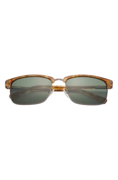 Ted Baker Clubmaster 57mm Full Rim Polarized Sunglasses In Honey Tortoise