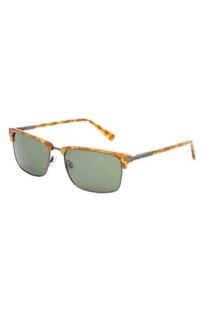 Ted Baker Clubmaster 57mm Full Rim Polarized Sunglasses In Honey Tortoise