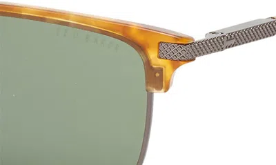 Ted Baker Clubmaster 57mm Full Rim Polarized Sunglasses In Honey Tortoise