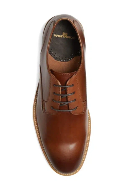 Winthrop Pelton Suede Derby In Cognac