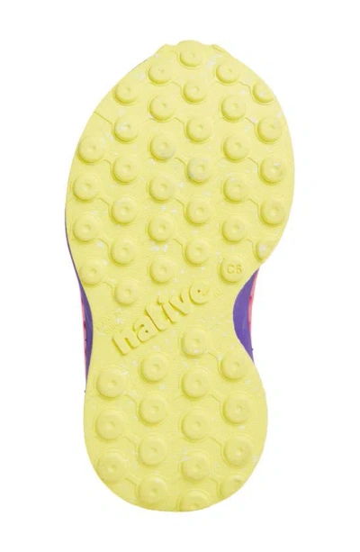 Shop Native Shoes Robbie Sugarlite Slip-on Shoe In Dark Pink/purple/yellow