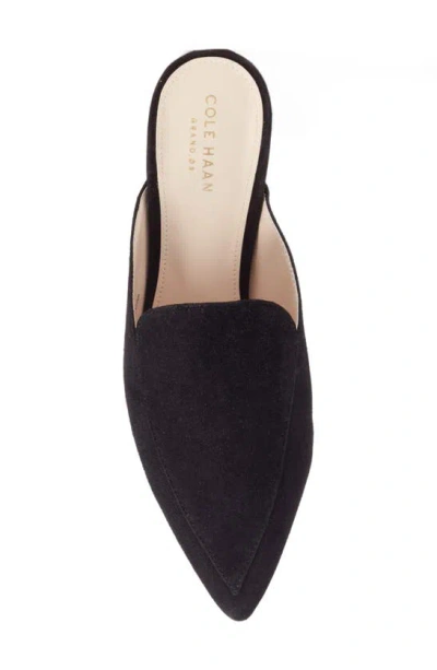 Shop Cole Haan Piper Loafer Mule In Black Suede