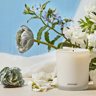 Apotheke Canvas Classic Scented Candle In Default Title