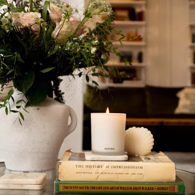 Apotheke Sea Salt Grapefruit Classic Scented Candle In Default Title