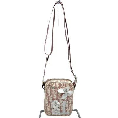 Shop Dior Saddle Pink Canvas Shopper Bag ()