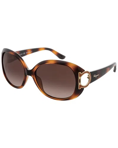 Shop Ferragamo Women's Sf668s 57mm Sunglasses In Brown
