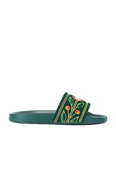 Casablanca Laurel Terry Sliders In Green