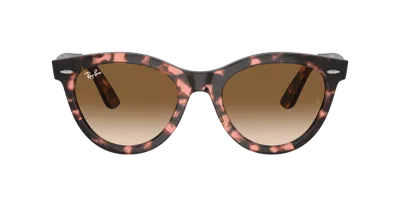 Ray Ban Ray In Clear & Brown