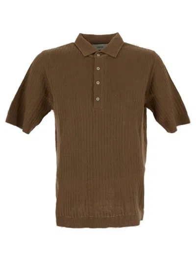Shop Lardini Ribbed Short Sleeved Polo Shirt In Brown