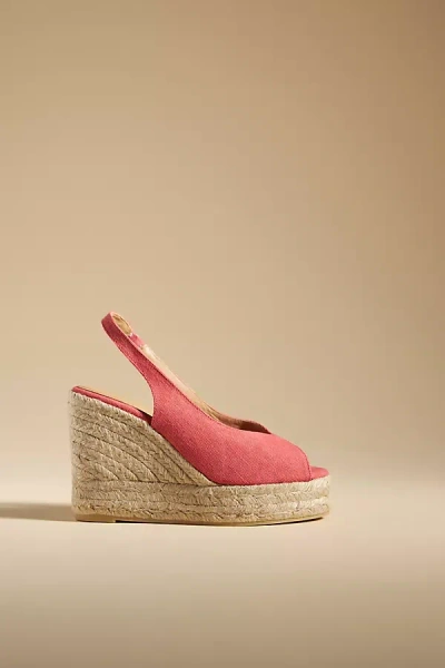 Shop Castaã±er Barbara Wedge Heels In Pink