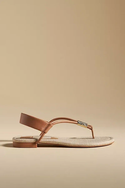 Shop Dolce Vita Bacey T-strap Sandals In Brown
