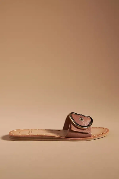 Shop Dolce Vita Danna Sandals In Brown