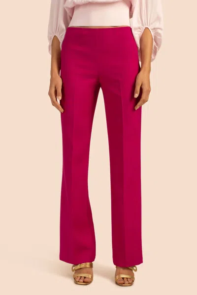 Shop Trina Turk Chimayo Pant In Planetary Pink