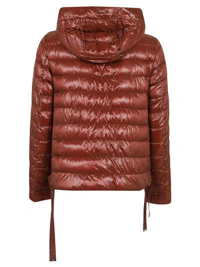 Shop Herno Quilted Hooded Coat