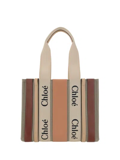 Shop Chloé Woody Handbag In Terracotta Pink