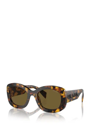 Shop Prada Pr A13s Honey Tortoise Sunglasses