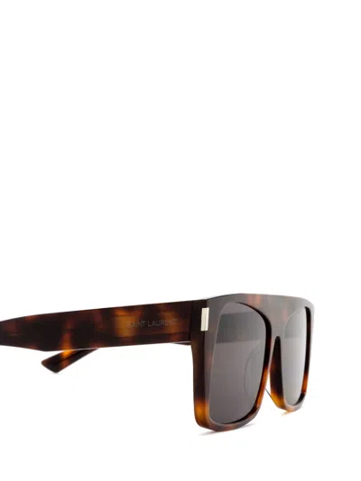 Shop Saint Laurent Sl 651 Havana Sunglasses