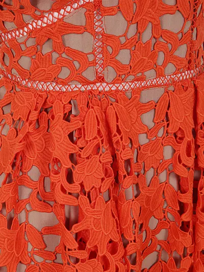 Shop Self-portrait Orange Azaelea Lace Midi Dress In O Orange