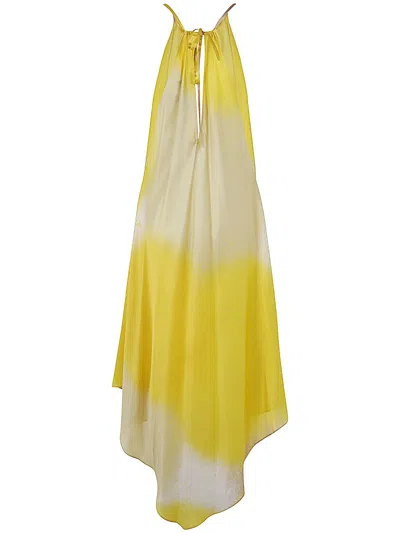 Gianluca Capannolo Isabelle Silk Dress In Yellow Shadows