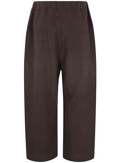 Shop Sofie D'hoore Wide Pants With Elastic Waist In Cacao