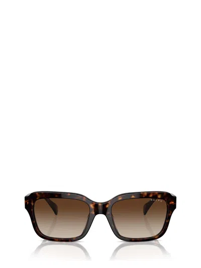 Shop Polo Ralph Lauren Ra5312u Shiny Dark Havana Sunglasses