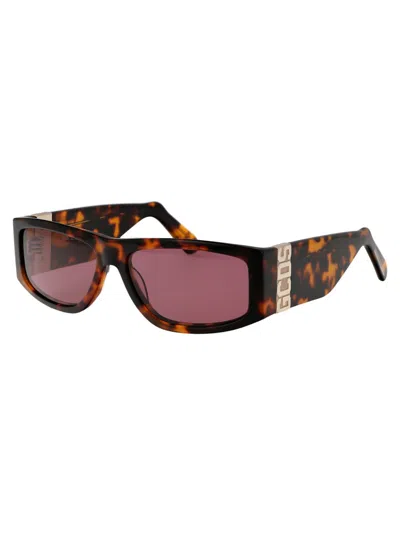 Shop Gcds Sunglasses In 52s Avana Scura/bordeaux