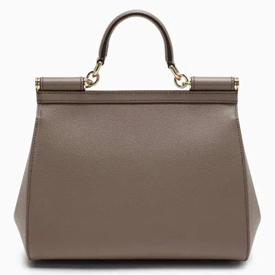 Shop Dolce & Gabbana Dolce&gabbana Taupe Sicily Medium Handbag In Brown
