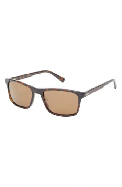 Ted Baker 57mm Full Rim Rectangle Polaized Sunglasses In Tortoise