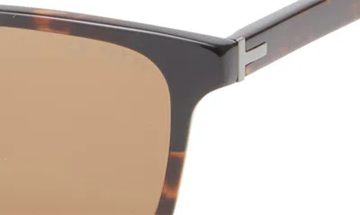Shop Ted Baker 57mm Full Rim Rectangle Polaized Sunglasses In Tortoise