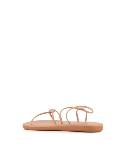 Shop Ancient Greek Sandals Sandal Proorismos In Nude