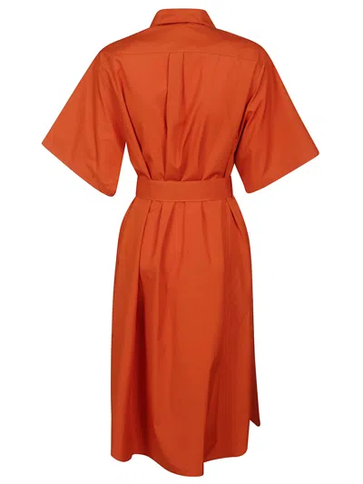 Shop Aspesi Dress Mod.2957 In Orange