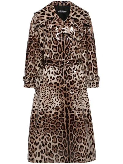 Shop Dolce & Gabbana Brown Leopard-print Trench Coat In Nude