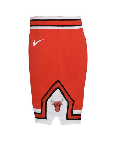 Nike Toddler Boys And Girls  Red Chicago Bulls Icon Replica Jersey Shorts In Red