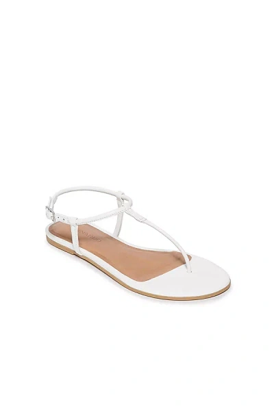 Shop Bernardo Haven Thong Sandals In White