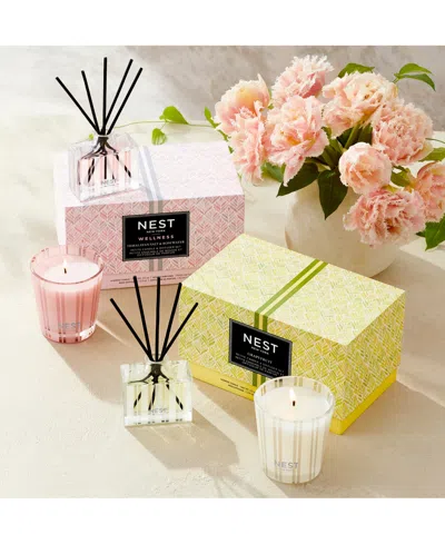 Shop Nest New York 2-pc. Himalayan Salt & Rosewater Petite Candle & Diffuser Set In No Color