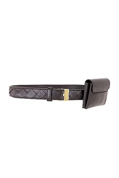 Shop Bottega Veneta Pocket Belt In Fondant & Muse Brass