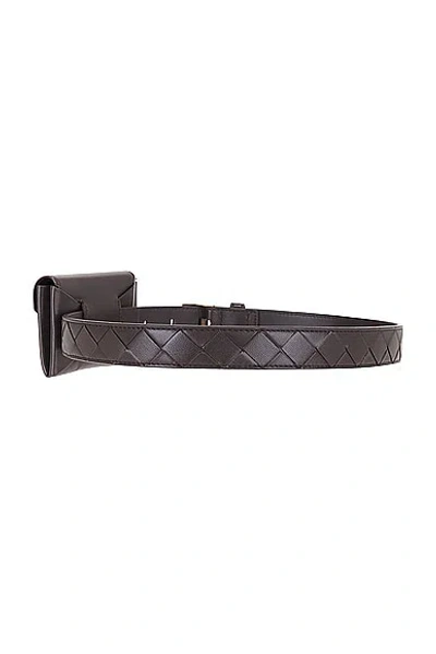 Shop Bottega Veneta Pocket Belt In Fondant & Muse Brass
