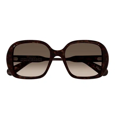 Chloé Ch0222s Square-frame Sunglasses In Havana