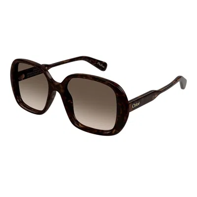 Chloé Ch0222s Square-frame Sunglasses In Havana
