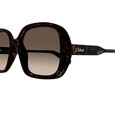 Chloé Ch0222s Square-frame Sunglasses In Havana