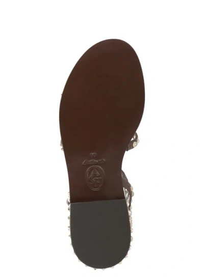 Shop Ash Precoius Sandals In Brown