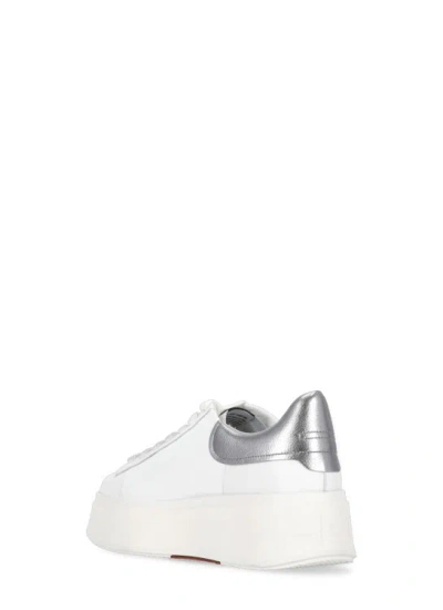 Shop Ash Moby Sneakers In White