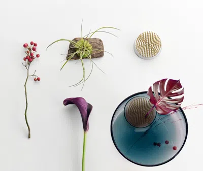 Ichendorf Milano Vases Multicolor Uni In Multicolor