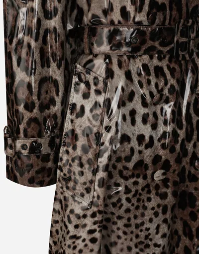 Shop Dolce & Gabbana Cappotto In Print