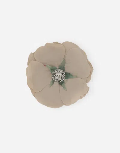 Dolce & Gabbana Floral-appliqué Poplin Brooch In Beige