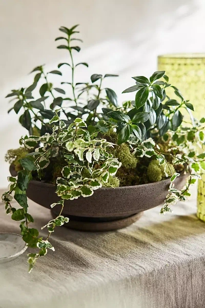 Terrain Ada Terracotta Bowl + Saucer Set