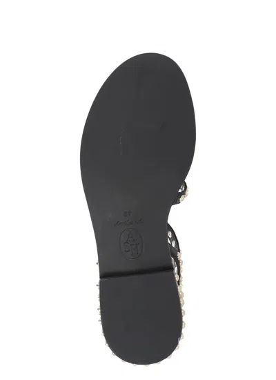Shop Ash Precoius Sandals In Black
